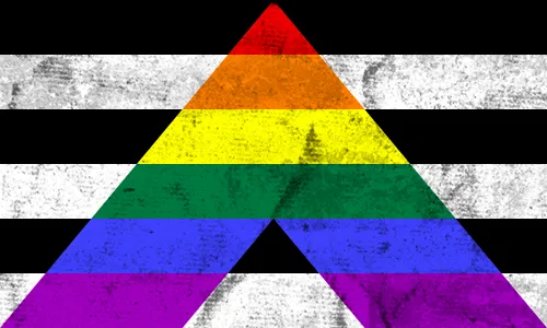 ally-flag